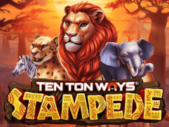 ٹین ٹن ویز اسٹیمپڈ game thumbnail